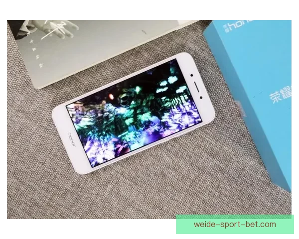 伟德官网全面解析：平台优势、游戏种类与安全保障深度剖析